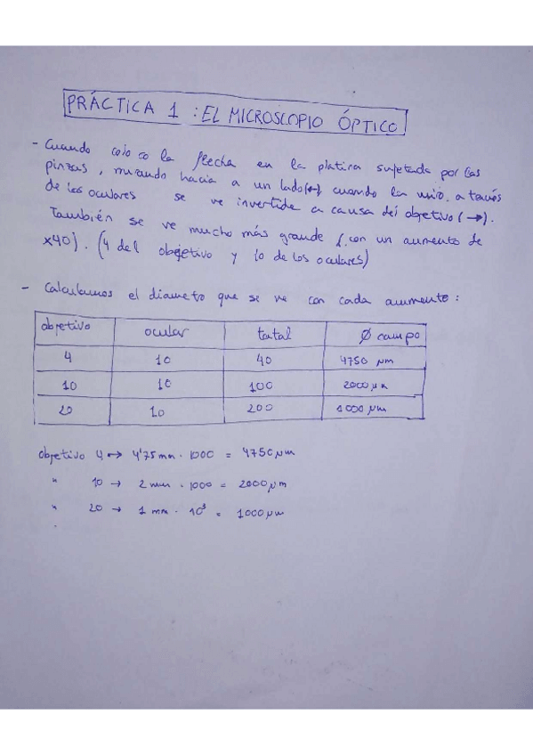 Miniatura del documento PRACTICAS-LABORATORIO-BIOLOGIA.pdf