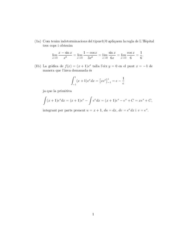 Miniatura del documento ResolucioSegonParcial.pdf