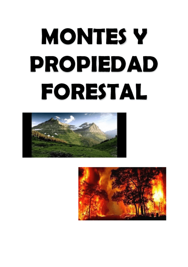 Miniatura del documento TRABAJO-MONTES-Y-PROPIEDAD-FORESTAL.pdf
