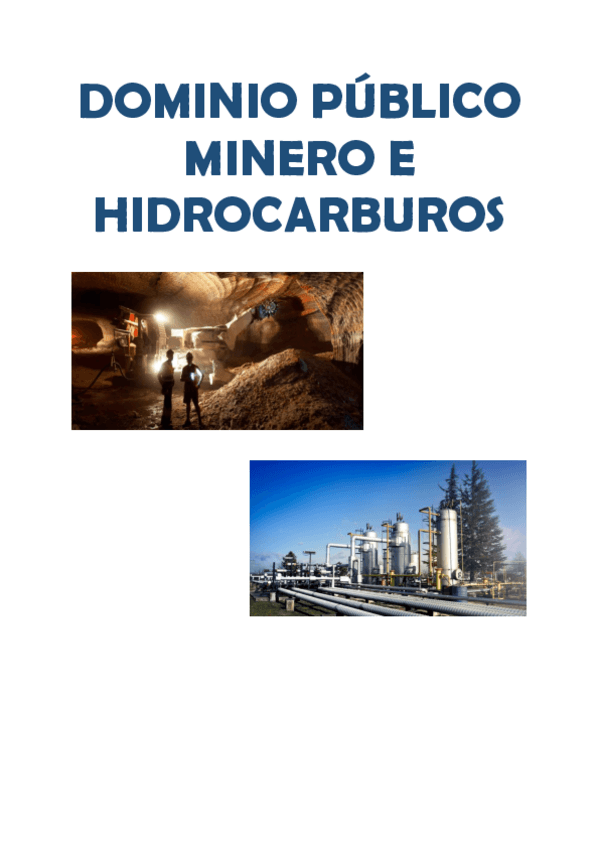 Miniatura del documento Trabajo-Dominio-Publico-Minero-y-el-sector-de-los-Hidrocarburos.pdf