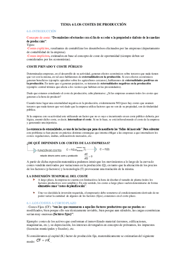 Miniatura del documento TEMA 6 LOS COSTES DE PRODUCCIÓN.pdf
