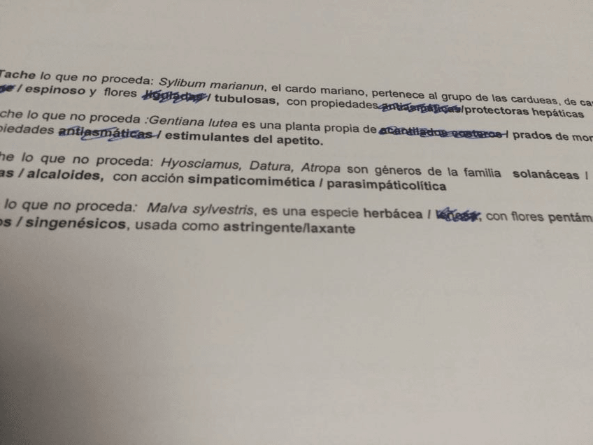 Miniatura del documento IMG-20160626-WA0005.jpg