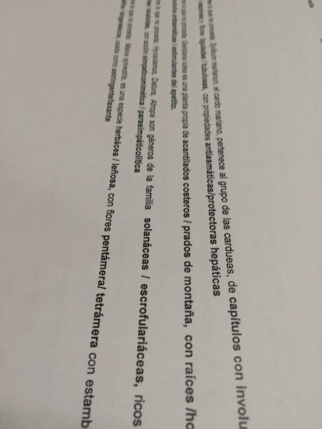 Miniatura del documento IMG-20160626-WA0006.jpg