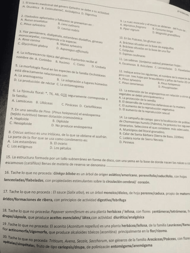 Miniatura del documento IMG-20160626-WA0007.jpg