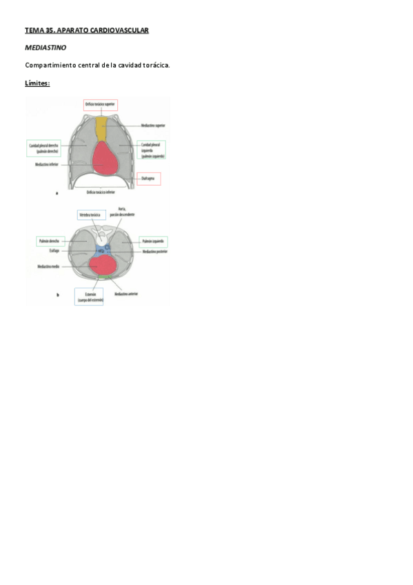 Miniatura del documento TEMA 35.pdf