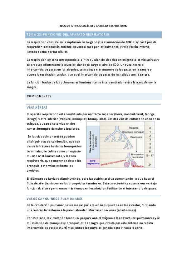 Miniatura del documento TODO-Aparato-Respiratorio.pdf