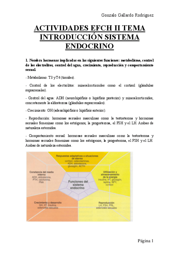 Miniatura del documento ACTIVIDADES-EFCH-II-TEMA-INTRODUCCION-SISTEMA-ENDOCRINO.pdf