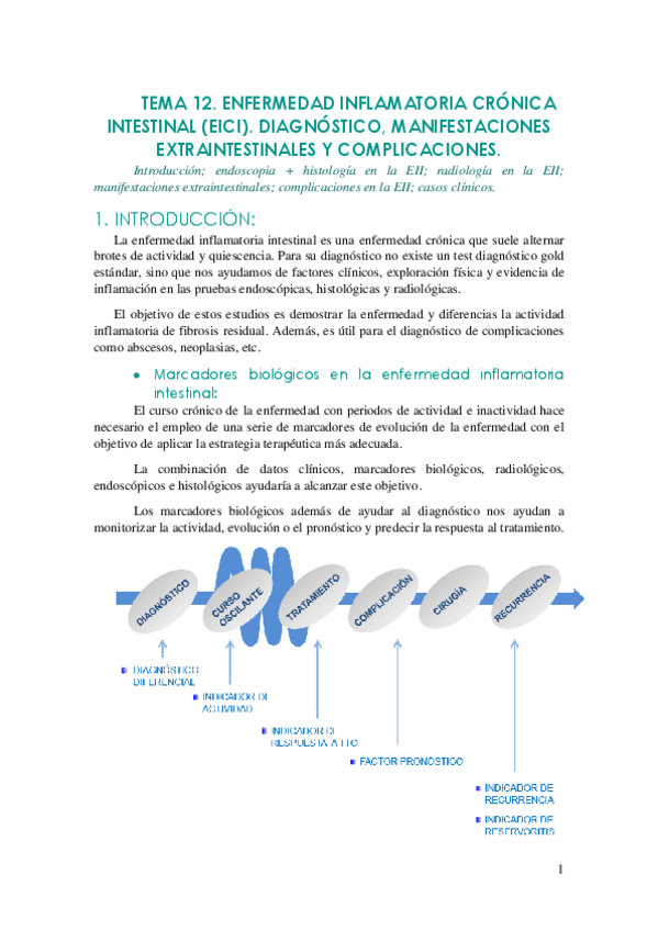 Miniatura del documento TEMA 12 DIAGNÓSTICO EICI