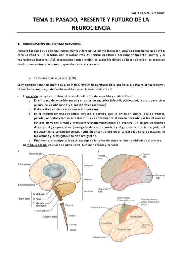 Miniatura del documento TEMA-1-pasado-presente-y-futuro-de-la-neurociencia.pdf