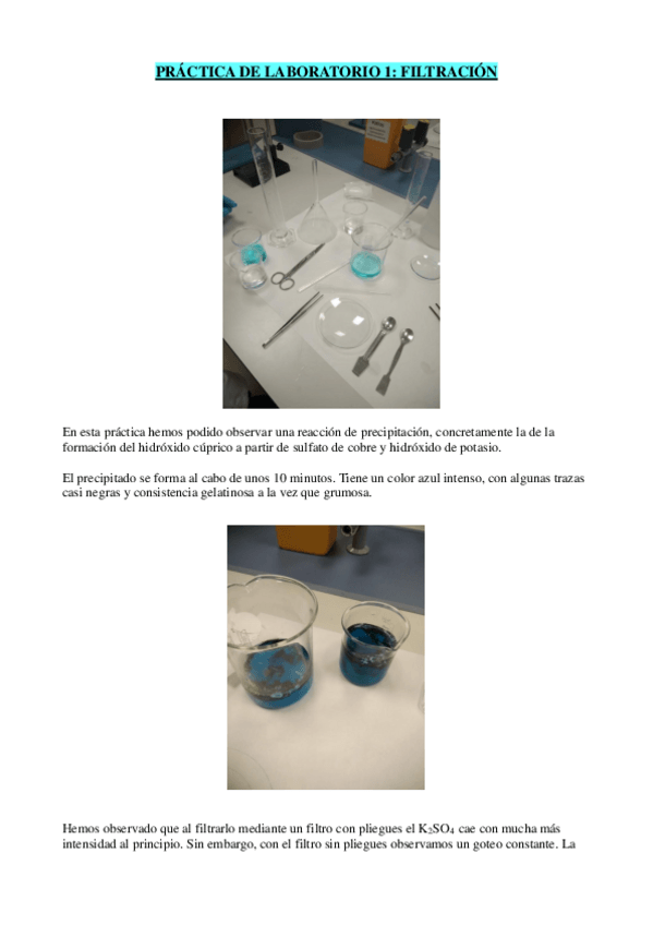 Miniatura del documento Ficha-practica-1-quimica.pdf