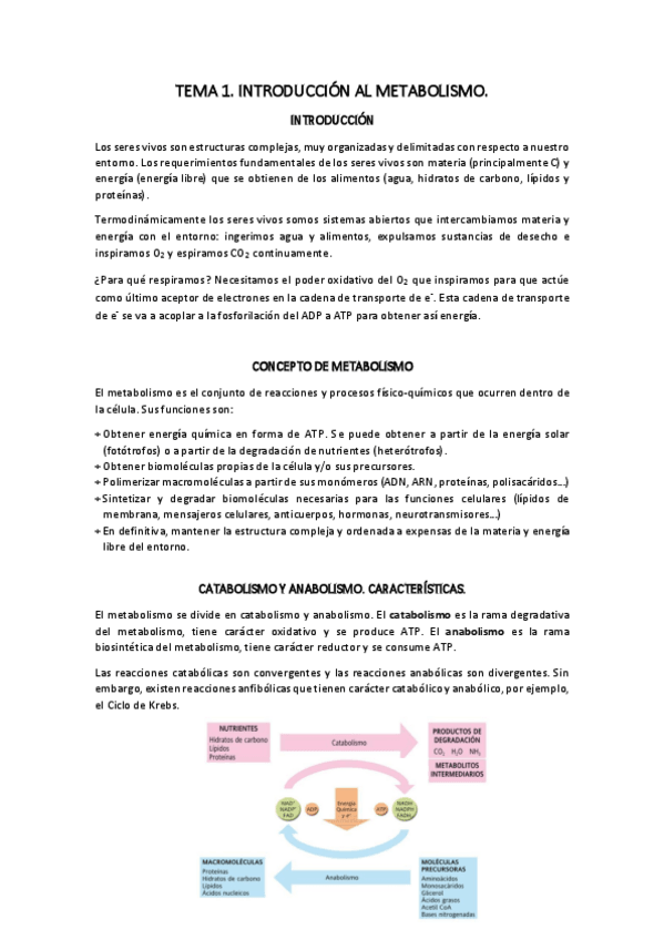 Miniatura del documento TEMA-1.pdf