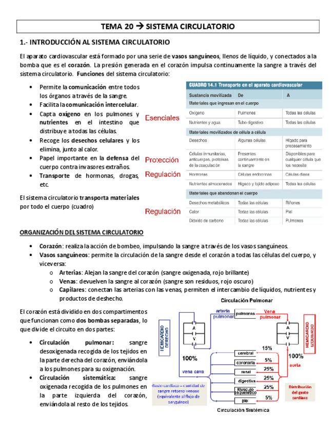 Miniatura del documento TEMA-20-sistema-circulatorio.pdf