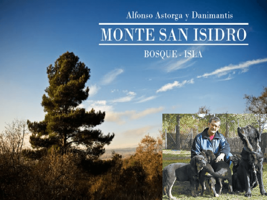 Miniatura del documento restauracion-monte.pdf