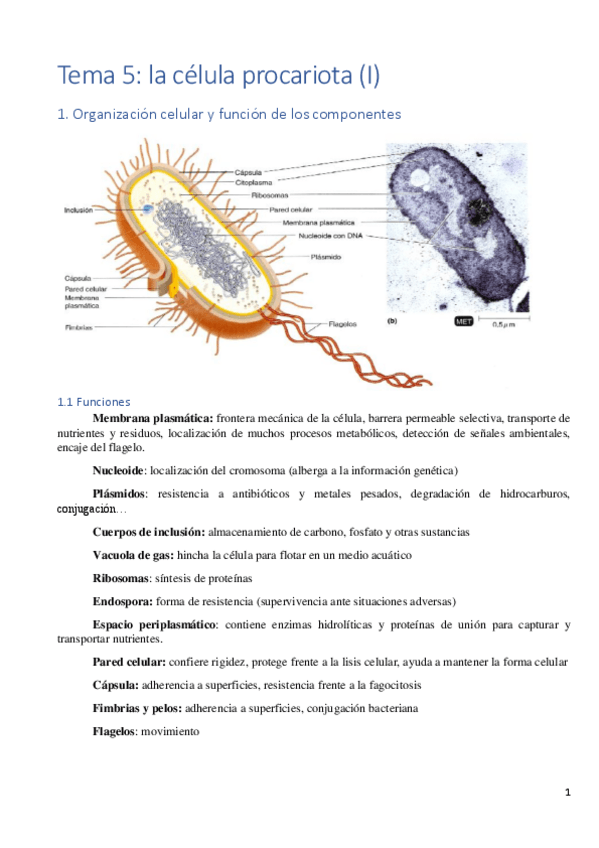 Miniatura del documento Tema-5.pdf
