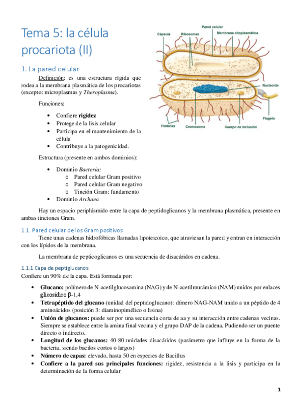 Miniatura del documento Tema-5.pdf