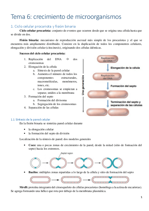 Miniatura del documento Tema-6.pdf