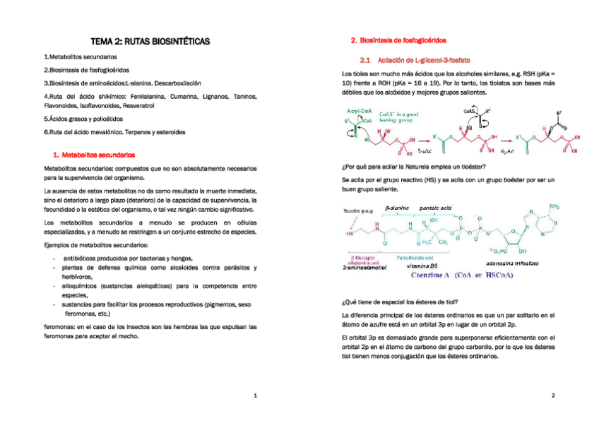 Miniatura del documento Tema-2.pdf