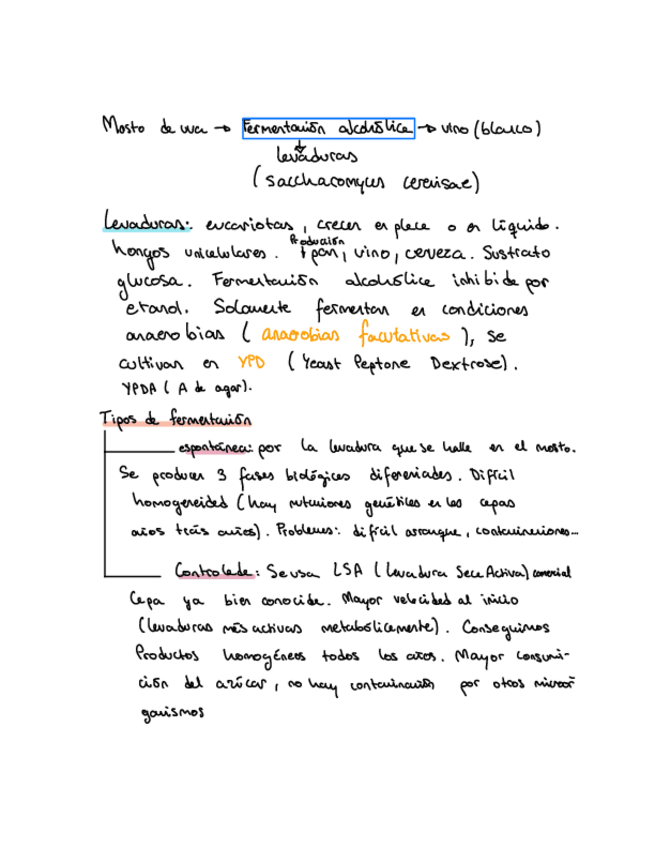 Miniatura del documento EXAMEN-LIPROC-SEMANA-1.pdf