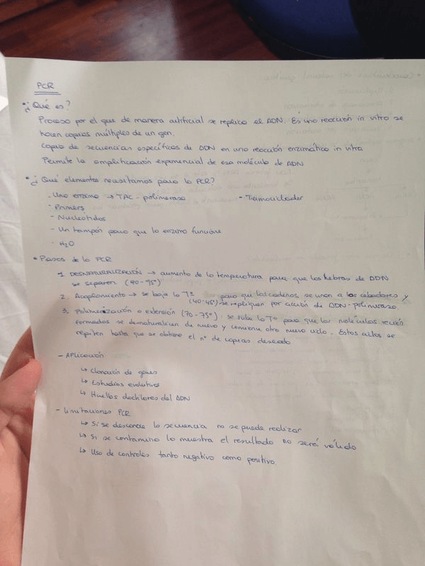 Miniatura del documento IMG-20140611-WA0001-1.jpg