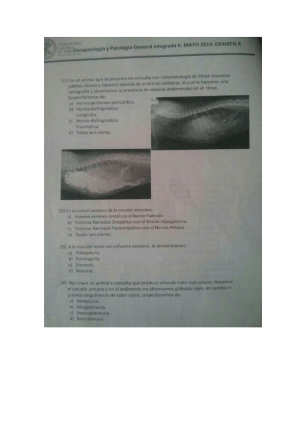 Miniatura del documento examens-fisiopat.pdf