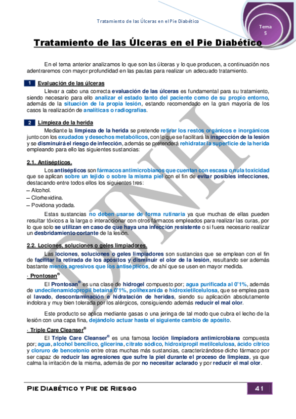 Miniatura del documento 5.pdf