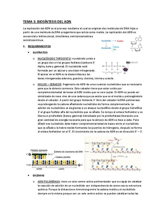 Miniatura del documento TEMA-3.pdf