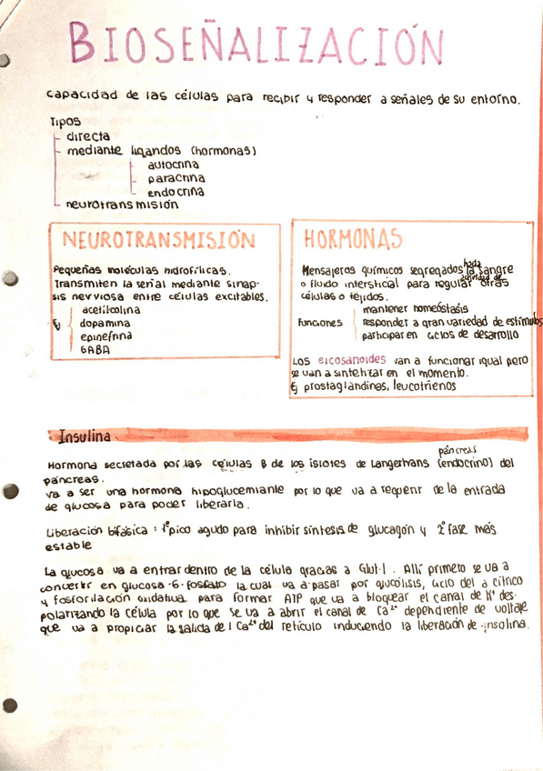 Miniatura del documento Biosenalizacion.pdf