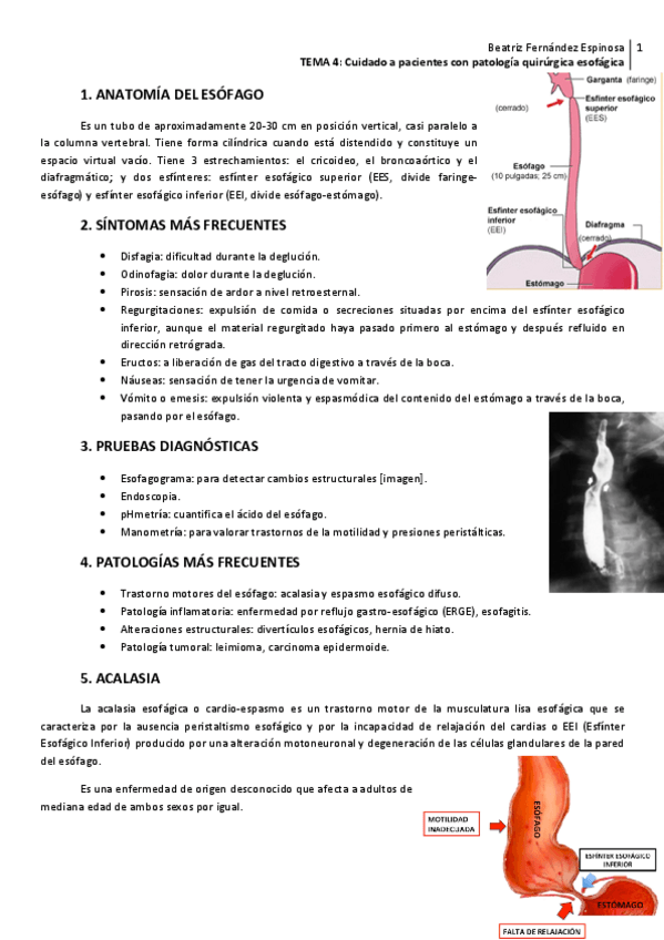 Miniatura del documento ADU2-Tema-4PQ-esofagica.pdf
