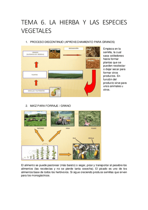 Miniatura del documento TEMA-6.pdf