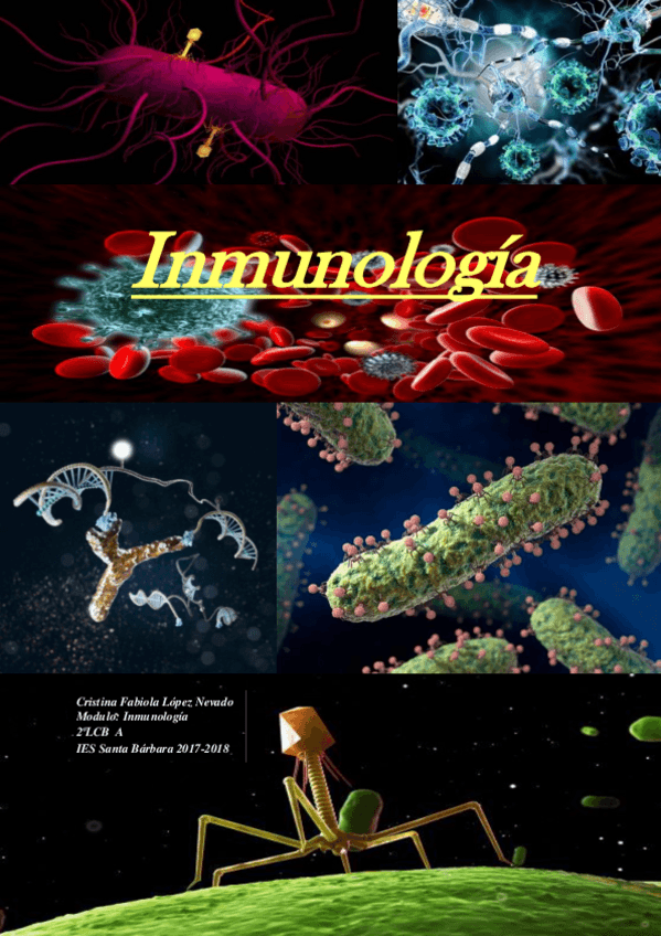 Miniatura del documento Cuaderno-de-practicas-Inmunologia.pdf