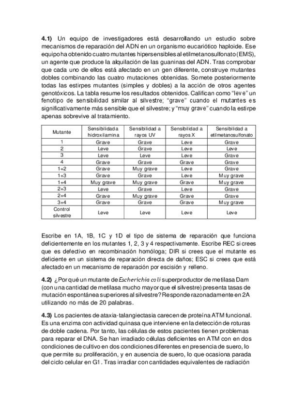 Miniatura del documento Serie-P4-2018-19-RESUELTA.pdf