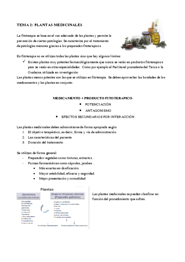 Miniatura del documento TEMA-2.pdf