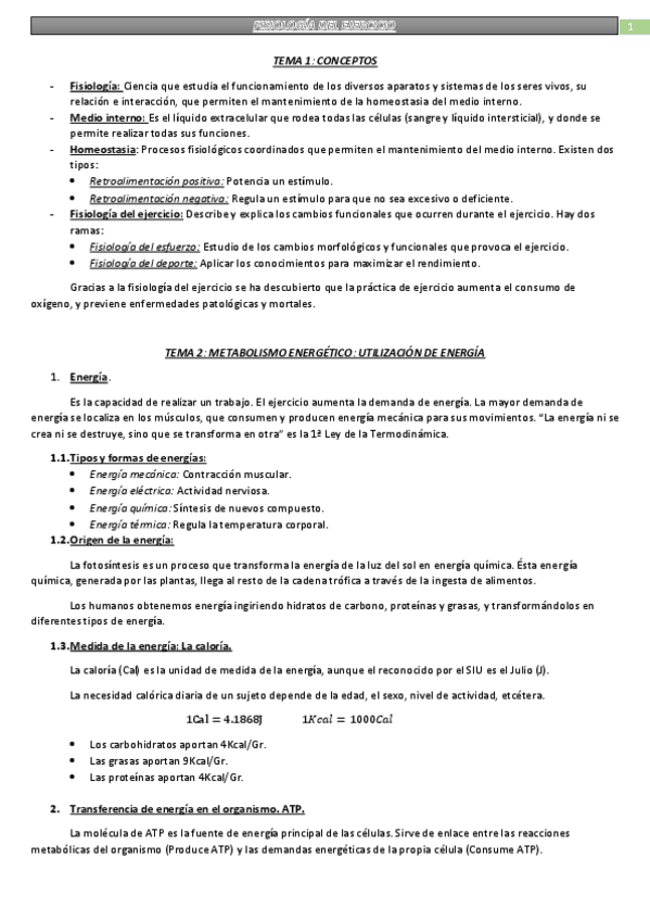 Miniatura del documento Temario.pdf