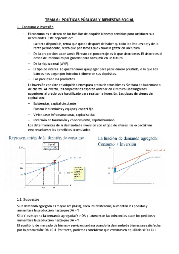 Miniatura del documento Tema 6 - Politicas publicas y bienestar social.pdf