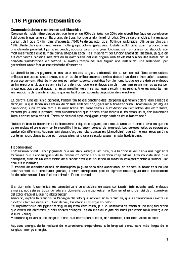 Miniatura del documento NMV-T16.pdf
