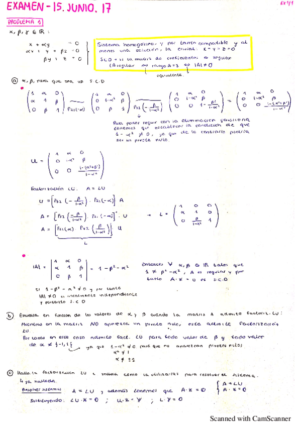 Miniatura del documento EX-RESUELTO-JUNIO-17.pdf