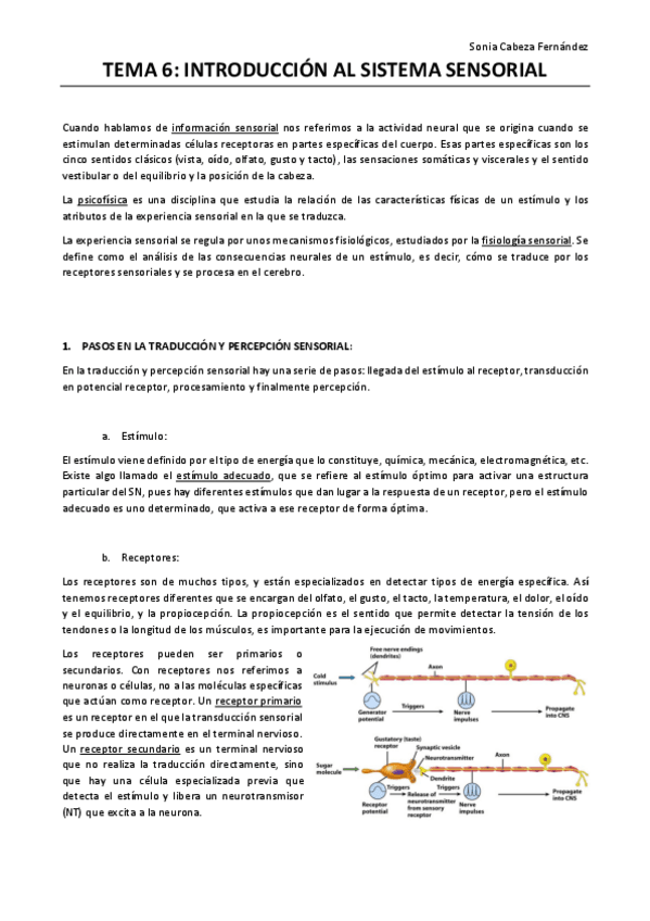Miniatura del documento TEMA-6-intro-sistema-sensorial.pdf