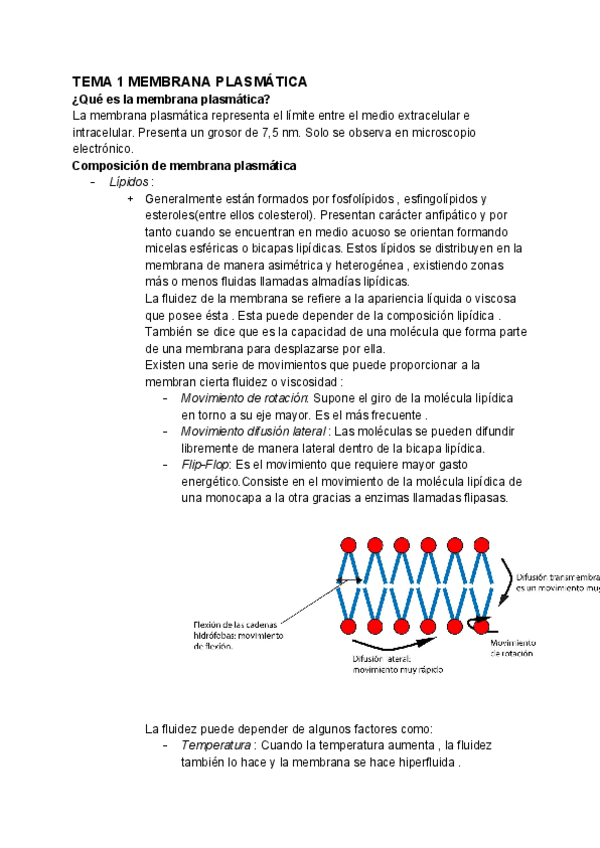 Miniatura del documento BIOLOGIA-CELULAR.pdf