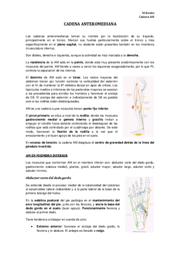 Miniatura del documento TEMA-4.pdf