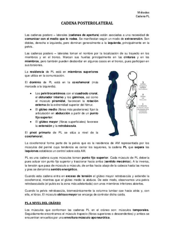 Miniatura del documento TEMA-3.pdf