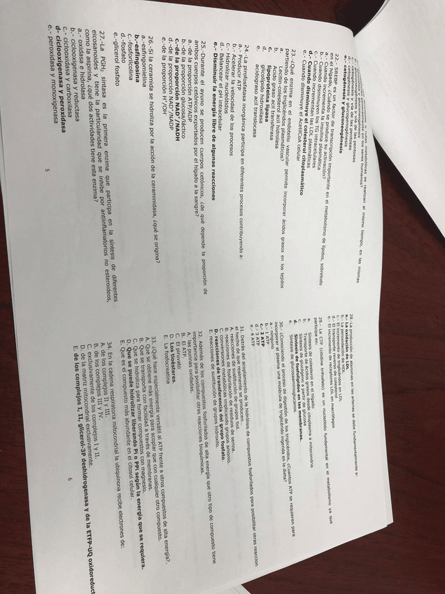 Miniatura del documento IMG-20190902-WA0019.jpg