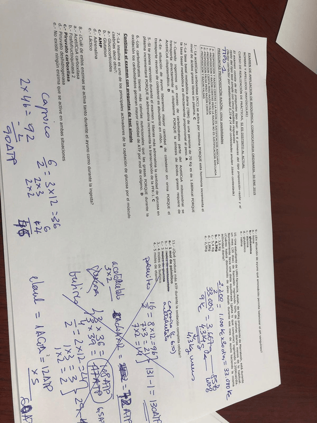 Miniatura del documento IMG-20190902-WA0018.jpg