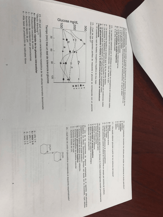 Miniatura del documento IMG-20190902-WA0017.jpg