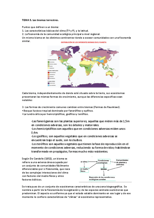 Miniatura del documento T-5-ECO.pdf