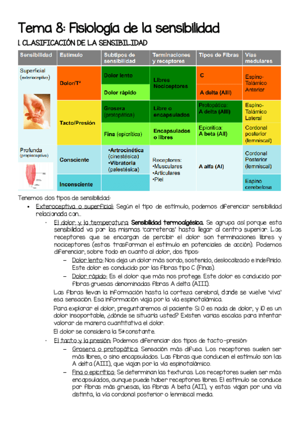 Miniatura del documento T8-Fisiologia-de-la-sensibilidad.pdf