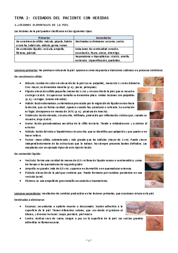 Miniatura del documento Tema-2-cuidados-del-paciente-con-heridas.pdf