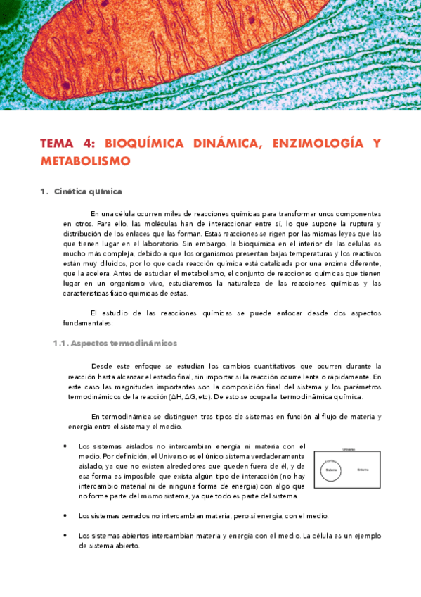 Miniatura del documento TEMA-4-BIOQUIMICA-DINAMICA.pdf