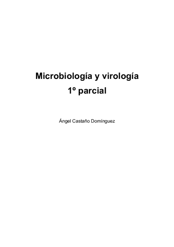 Miniatura del documento 117555.pdf