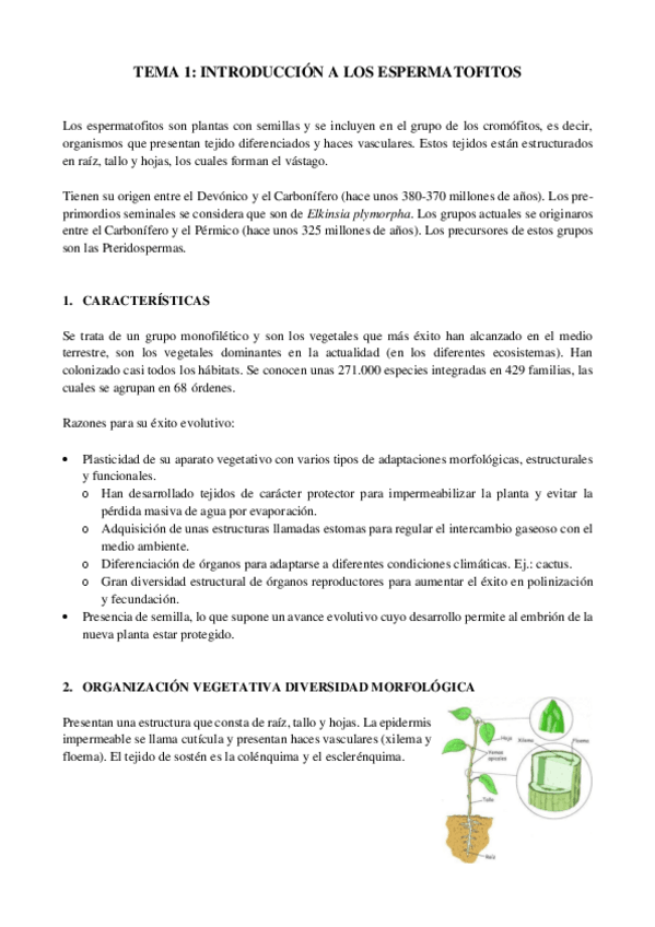 Miniatura del documento Resumen-tema-1-botanica-II.pdf