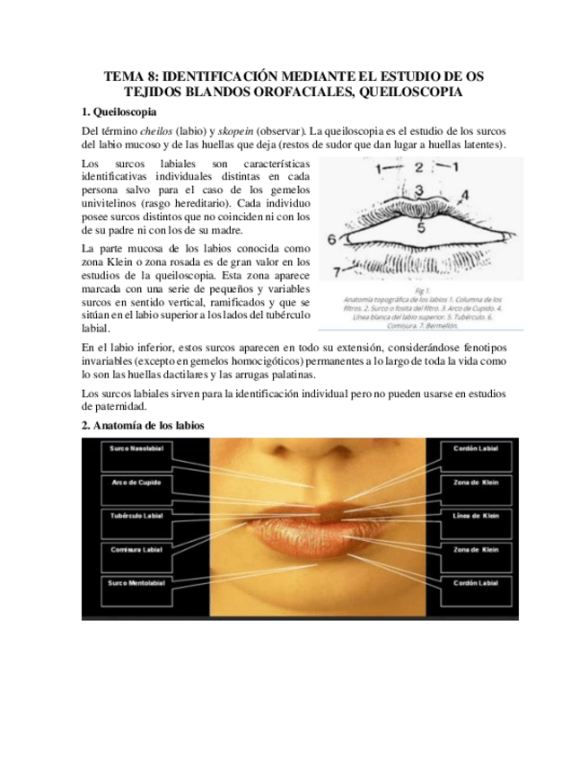 Miniatura del documento Tema-8.pdf